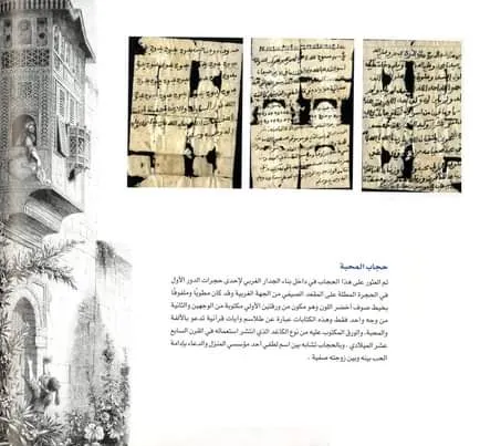 معرض الصور (7)