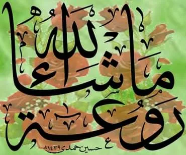 معرض الصور (11)