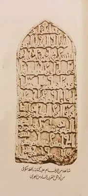 معرض الصور (13)
