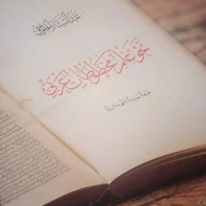 معرض الصور (17)