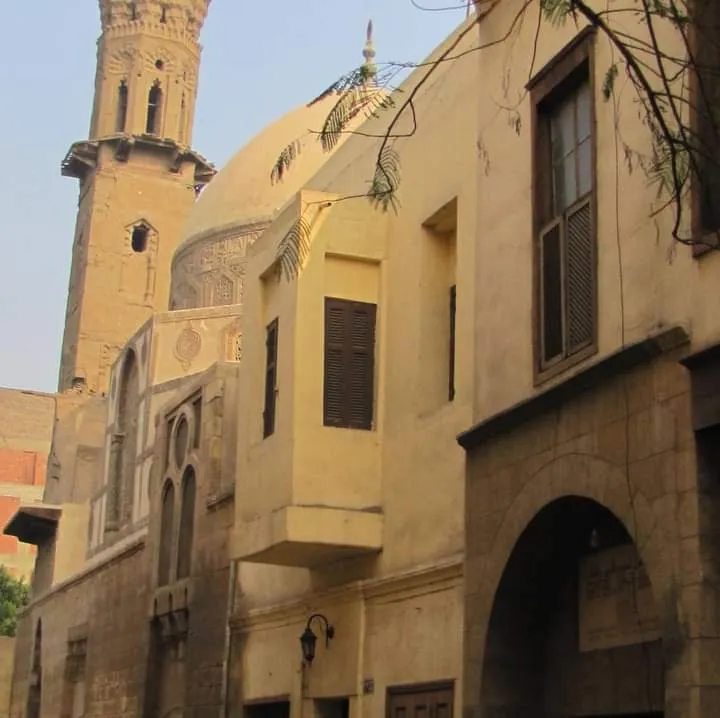 معرض الصور (21)