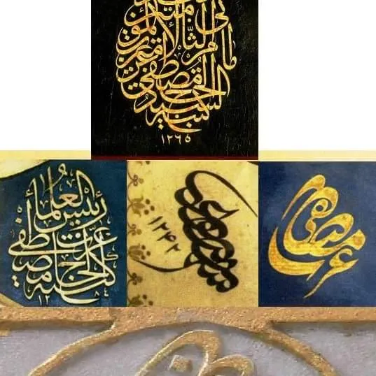 معرض الصور (28)
