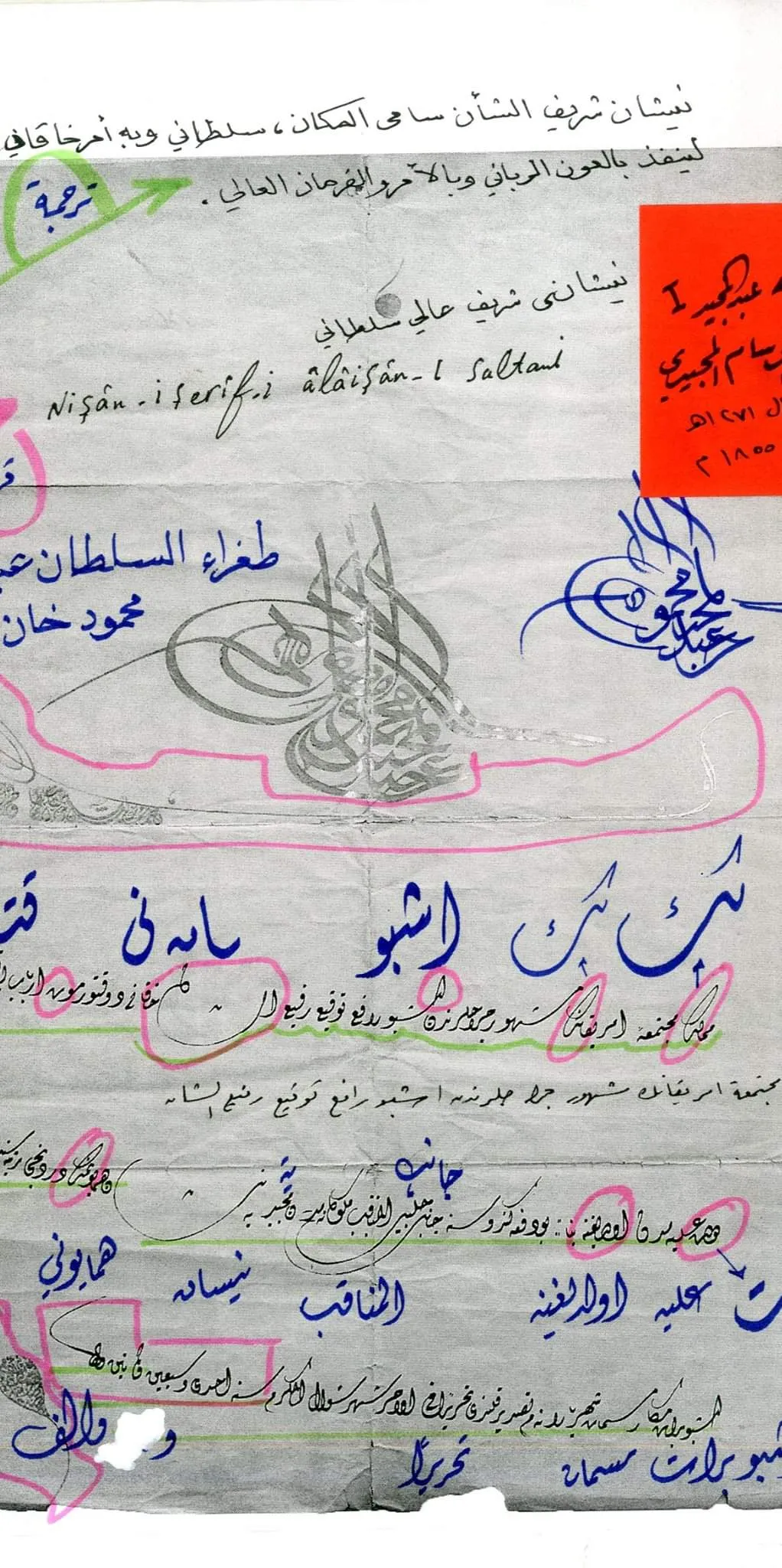 معرض الصور (40)