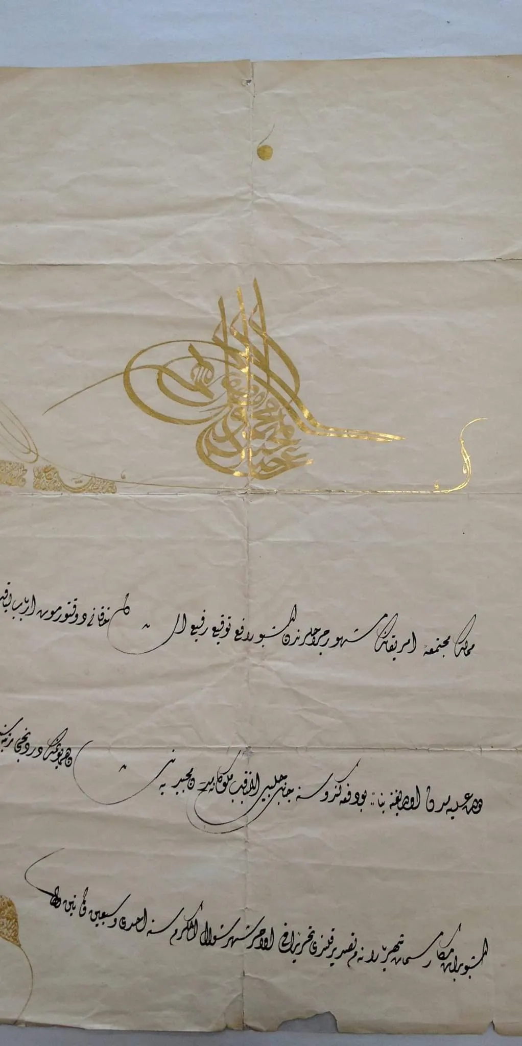 معرض الصور (41)