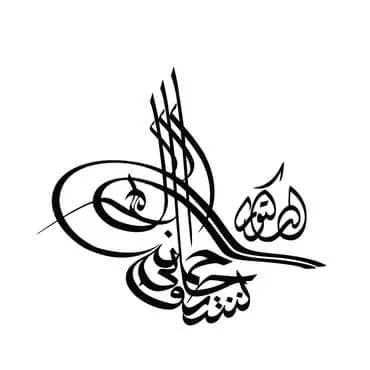 معرض الصور (42)