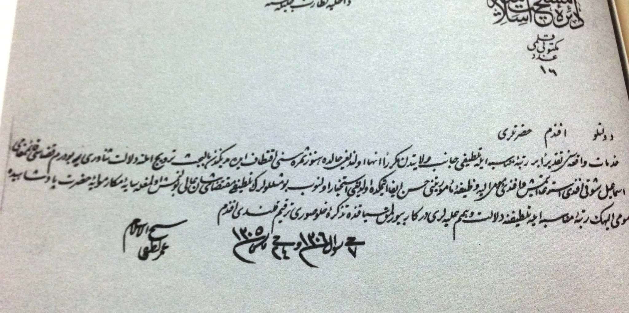 معرض الصور (43)