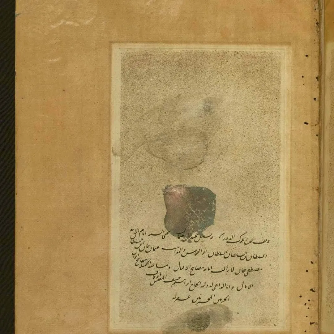 معرض الصور (45)