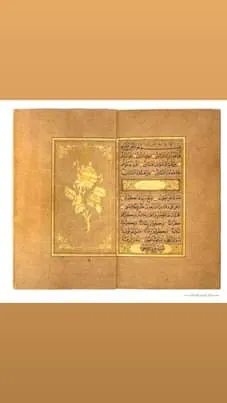 معرض الصور (50)