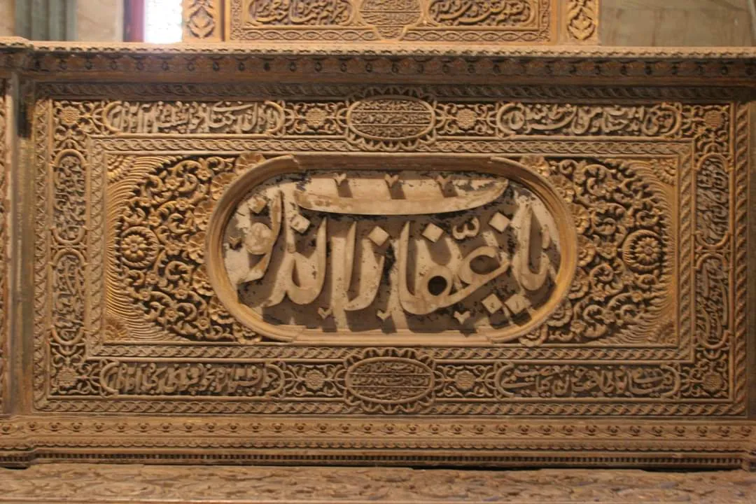 معرض الصور (53)