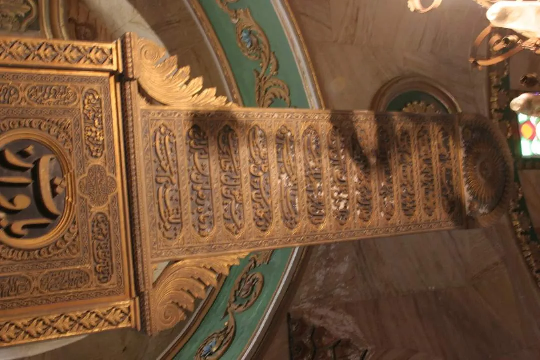 معرض الصور (55)