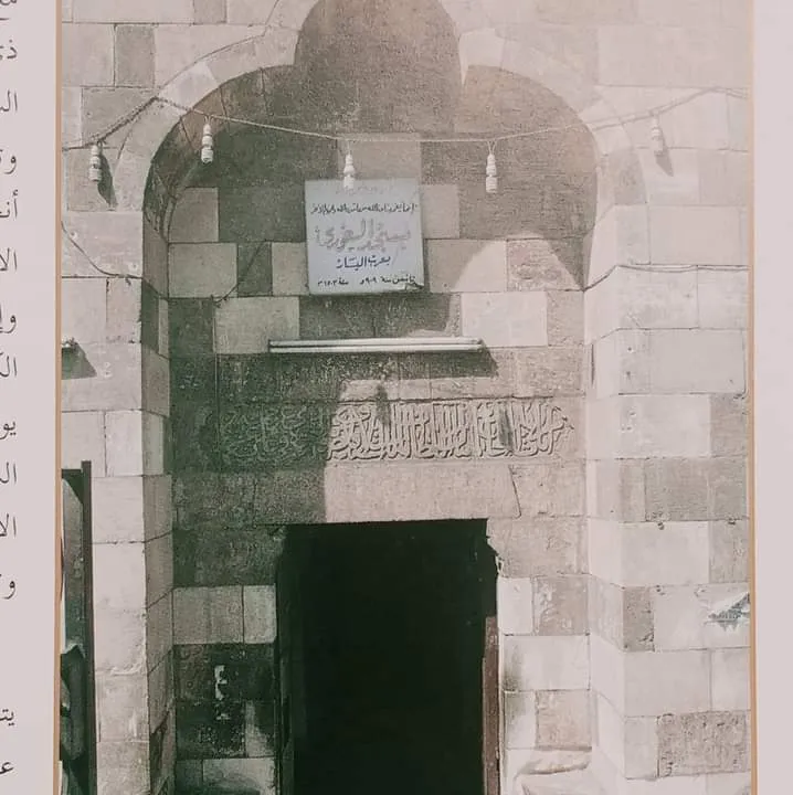 معرض الصور (59)