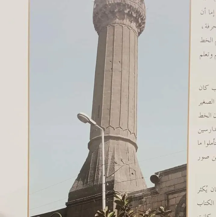 معرض الصور (60)