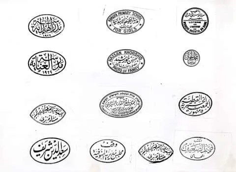 معرض الصور (61)