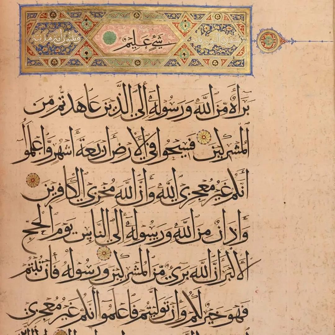 معرض الصور (66)