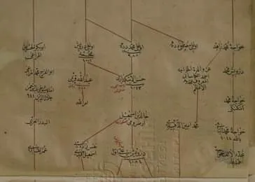 معرض الصور (72)